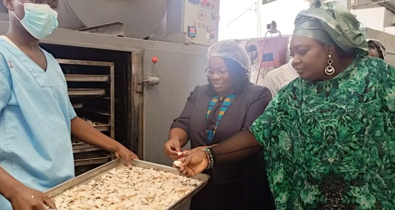 securite-alimentaire-le-cnlvc-encourage-la-transformation-et-la-promotion-des-produits-locaux