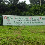 destruction-de-la-reserve-dalhiafleur-le-ministre-de-l-environnement-jean-luc-assi-se-prononce-enfin-sur-le-sujet