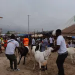 tabaski-la-2e-edition-de-la-foire-de-vente-de-betail-du-marche-de-belle-ville-lancee
