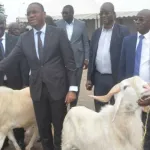 tabaski-70-000-moutons-disponibles-sur-le-marche-55-000-tetes-encore-attendues