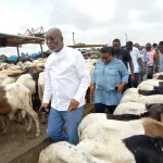 tabaski-2022-le-marche-ivoirien-suffisamment-approvisionne-voici-les-prix-des-moutons-et-des-boeufs