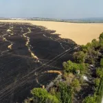 menace-d-une-crise-alimentaire-mondiale-la-russie-accuse-de-mettre-le-feu-a-des-champs-de-cereales