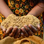 exportation-reunion-entre-russes-et-ukrainiens-sur-les-cereales-en-turquie