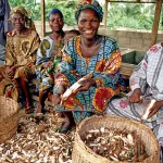 developpement-durable-la-promotion-du-leadership-des-femmes-et-de-l-equite-genre-presentees-comme-une-priorite