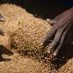 commerce-des-produits-agricoles-et-alimentaires-le-deblocage-de-fonds-des-banques-russes-geles-reclame