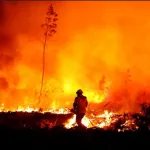 france-les-incendies-incontrolables-en-gironde-plus-de-20-000-hectares-de-forets-brulees