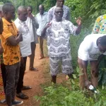 lutte-contre-l-orpaillage-illegal-a-adahou-l-esprit-des-manes-appele-au-secours-dans-la-foret-sacree