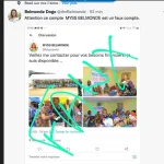 reseaux-sociaux-victime-d-usurpation-d-identite-sur-twitter-la-ministre-belmonde-dogo-reagit