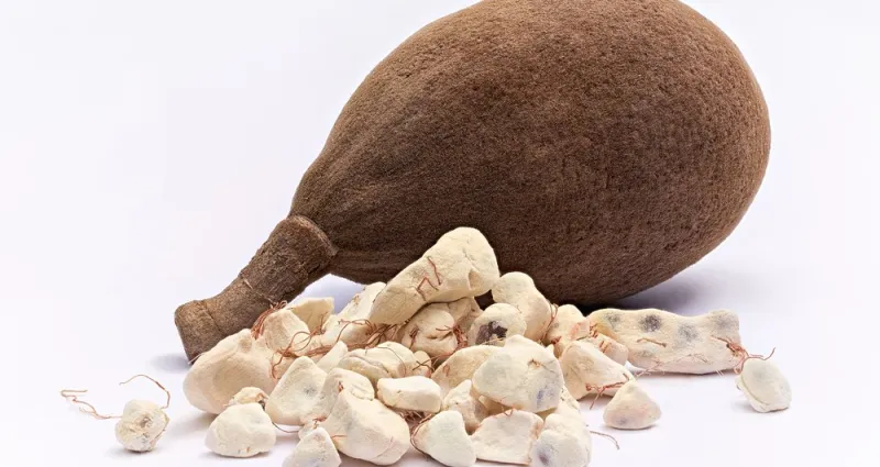 astuce-sante-la-poudre-de-baobab-et-ses-nombreux-bienfaits