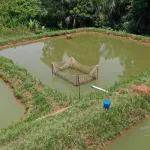 ressources-animales-et-halieutiques-patrick-achi-lance-officiellement-le-pstaci-ce-lundi-a-loka