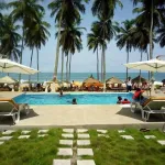 art-et-culture-la-ville-de-jacqueville-va-vibrer-au-rythme-du-festival-des-3a-du-09-au-14-aout