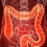 bien-etre-quelques-conseils-pour-ameliorer-son-transit-intestinal