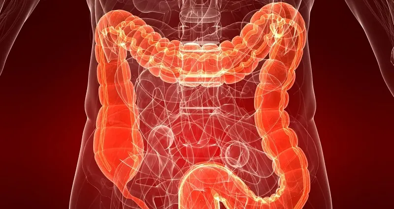 bien-etre-quelques-conseils-pour-ameliorer-son-transit-intestinal