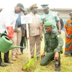 lutte-contre-la-deforestation-les-jeunes-de-la-me-apportent-leur-contribution