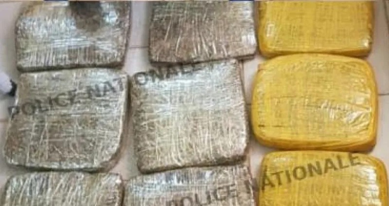 trafic-de-drogue-saisie-de-stupefiants-a-n-douci-des-individus-interpelles