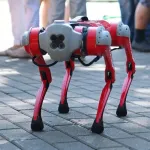 russie-un-chien-robot-transforme-en-arme-de-guerre-par-une-start-up