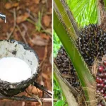 finance-le-pccet-lance-une-mission-aupres-du-monde-agricole-ce-jeudi