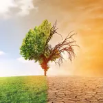 journees-africaines-de-l-ecologie-et-du-changement-climatique-alepe-et-bocanda-accueille-la-4ieme-edition