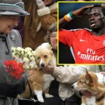 deces-d-elizabeth-ii-le-jour-ou-emmanuel-eboue-a-rencontre-la-reine-d-angleterre-ce-qu-il-lui-a-dit