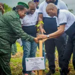 cote-d-ivoire-des-agents-d-une-banque-s-impliquent-dans-le-reboisement-de-la-reserve-botanique-de-divo