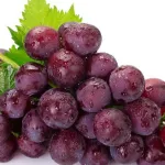 sante-voici-7-fruits-importants-les-plus-caloriques-indispensables-pour-l-organisme