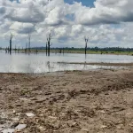 lutte-contre-la-crise-climatique-comment-elaborer-les-politiques-de-transition-energetique-au-coeur-d-un-webinaire