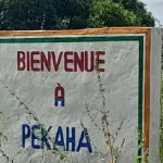 niakara-fatigue-des-vols-a-repetition-de-son-fils-il-le-bat-a-mort-et-est-mis-aux-arrets-par-la-gendarmerie