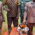 cote-d-ivoire-pris-en-flagrant-delit-d-abattage-d-arbres-deux-hommes-jetes-en-prison