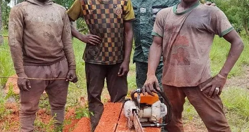 cote-d-ivoire-pris-en-flagrant-delit-d-abattage-d-arbres-deux-hommes-jetes-en-prison