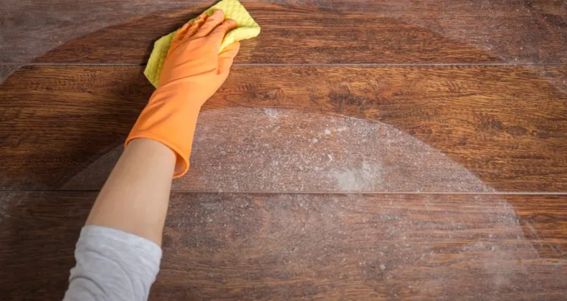 astuces-maison-5-trucs-pour-en-finir-avec-la-poussiere