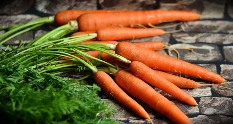 astuces-cuisines-5-manieres-de-conserver-vos-carottes-longtemps