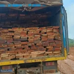 lutte-contre-le-sciage-saisie-de-chargements-de-madrier-dans-une-foret-classee-cinq-individus-mis-aux-arrets