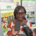 cote-d-ivoire-le-cnra-livre-ses-resultats-sur-la-lutte-contre-la-maladie-du-swollen-shoot