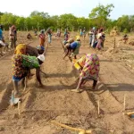 malnutrition-les-femmes-repoussent-le-fleau-dans-des-regions-au-nord-de-la-cote-d-ivoire