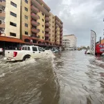 crise-climatique-des-volontaires-pour-l-environnement-et-leurs-partenaires-presentent-leur-solution