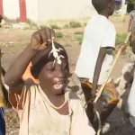 m-bengue-la-viande-de-margouillat-tres-prisee-par-les-enfants-voici-leurs-temoignages