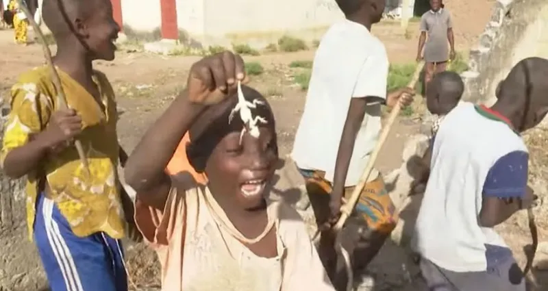 m-bengue-la-viande-de-margouillat-tres-prisee-par-les-enfants-voici-leurs-temoignages