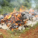 lutte-contre-la-fraude-douaniere-plus-de-31-tonnes-de-produits-prohibes-incineres