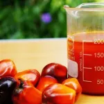 soin-beaute-gommage-a-base-d-huile-de-palme-rouge-de-miel-et-curcuma