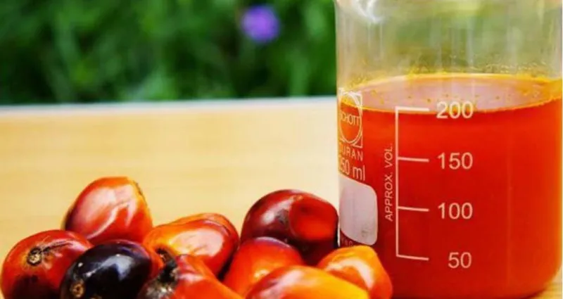 soin-beaute-gommage-a-base-d-huile-de-palme-rouge-de-miel-et-curcuma