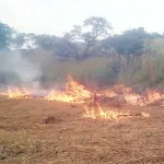 nassian-la-mesure-d-interdiction-des-feux-de-brousse-porte-des-fruits