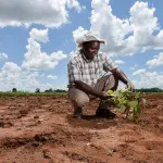 changement-climatique-crise-economique-mondiale-comment-l-afrique-va-t-elle-reagir