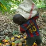 societe-une-ong-forme-la-societe-civile-au-respect-des-droits-des-enfants