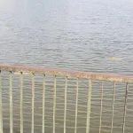 cote-d-ivoire-jean-luc-assi-s-enquiert-de-l-etat-de-rehabilitation-des-lacs-de-yamoussoukro