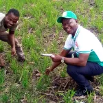 firaa-2023-les-acteurs-de-la-filiere-decides-a-accroitre-la-consommation-du-riz-local-en-cote-d-ivoire