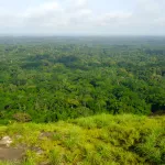 cote-d-ivoire-validation-du-bureau-du-comite-de-gestion-du-corridor-ecologique-de-tai