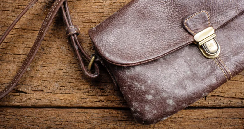 astuce-maison-3-astuces-pour-enlever-des-taches-du-cuir-sans-l-abimer