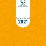 rapport-annuel-2021-cndh