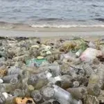 apres-la-cop-15-la-cote-d-ivoire-s-apprete-a-accueillir-la-59e-edition-de-la-journee-mondiale-de-l-environnement