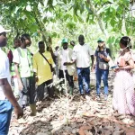 restauration-du-couvert-forestier-la-fao-satisfaite-des-premiers-resultats-de-la-mise-en-oeuvre-du-projet-promire